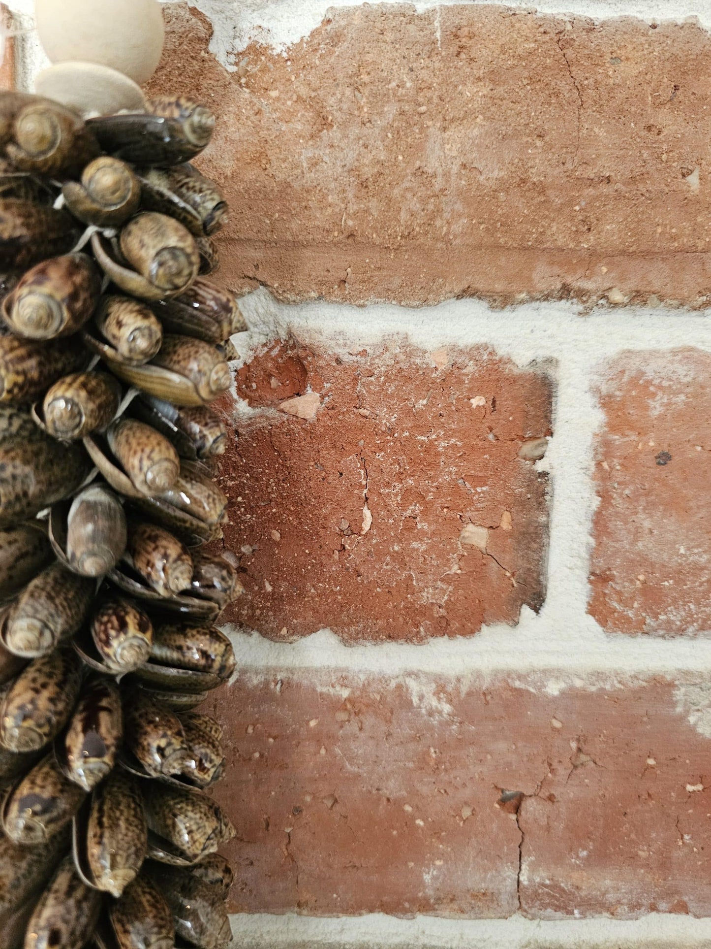 Doorhanger with brown shells