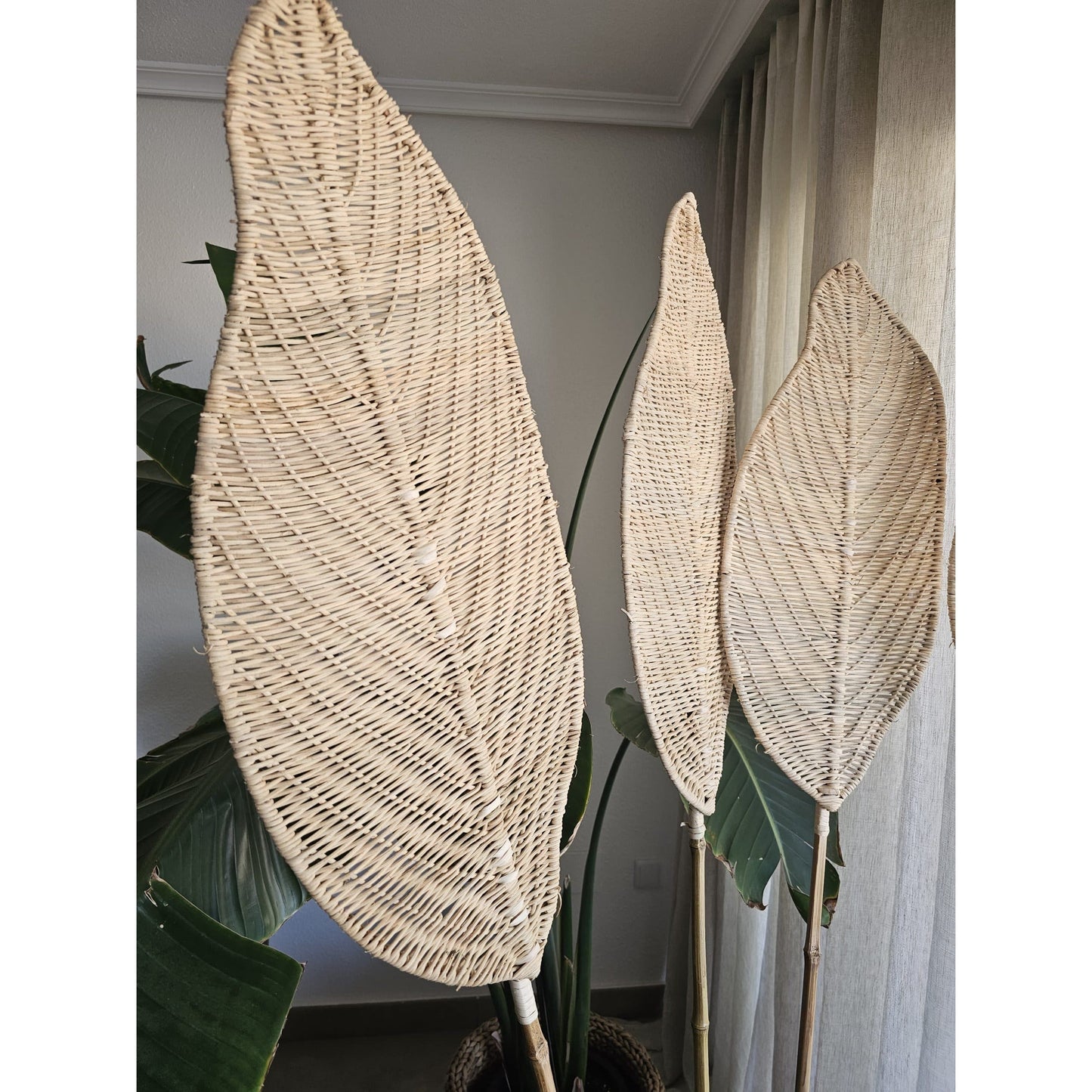 Bamboo leaf