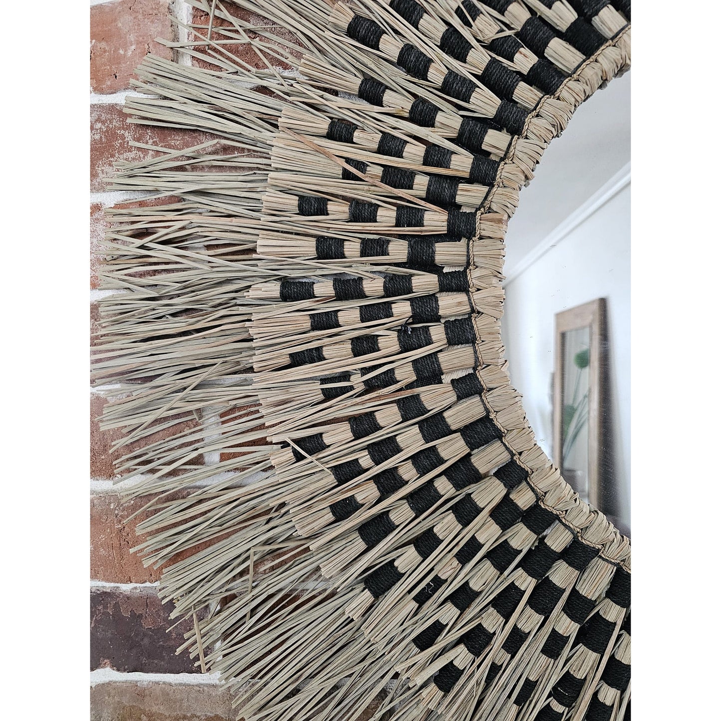 Mirror Model Trimur
