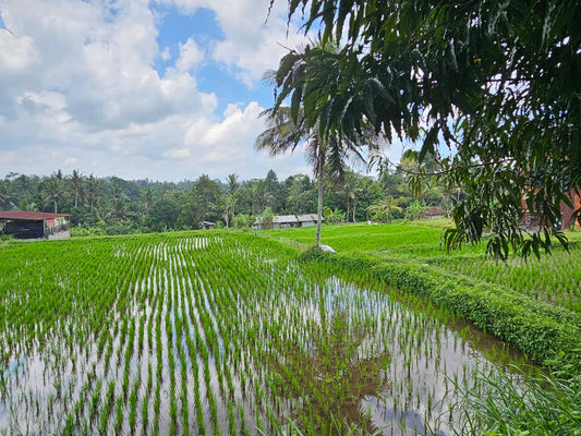 Sourcing handmade products in Bali during the August 2025 buying trip