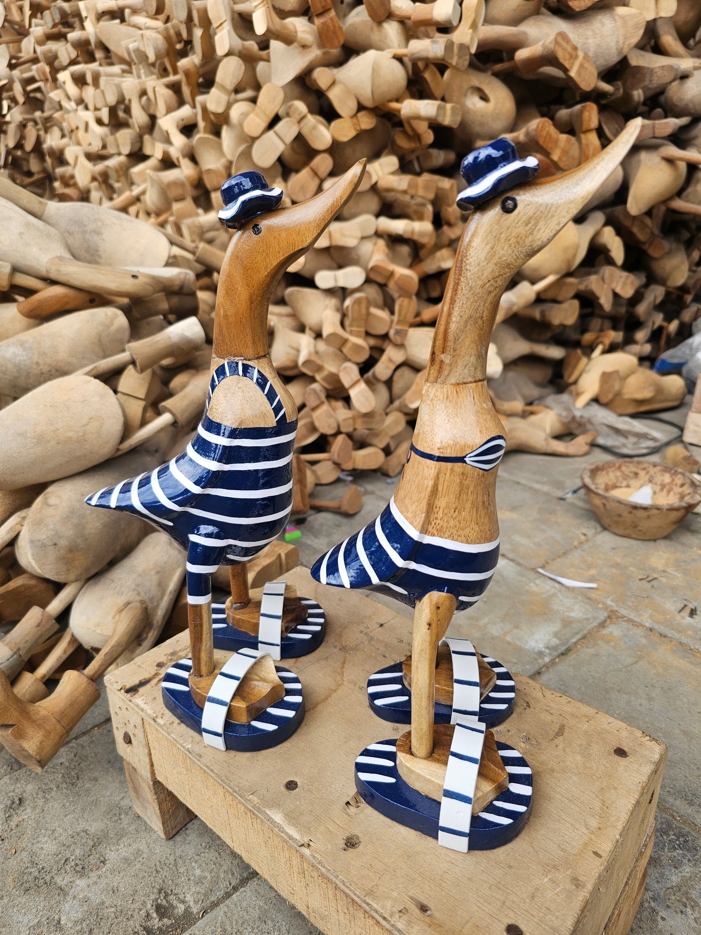 Ducks in bathing suites. Model Blue