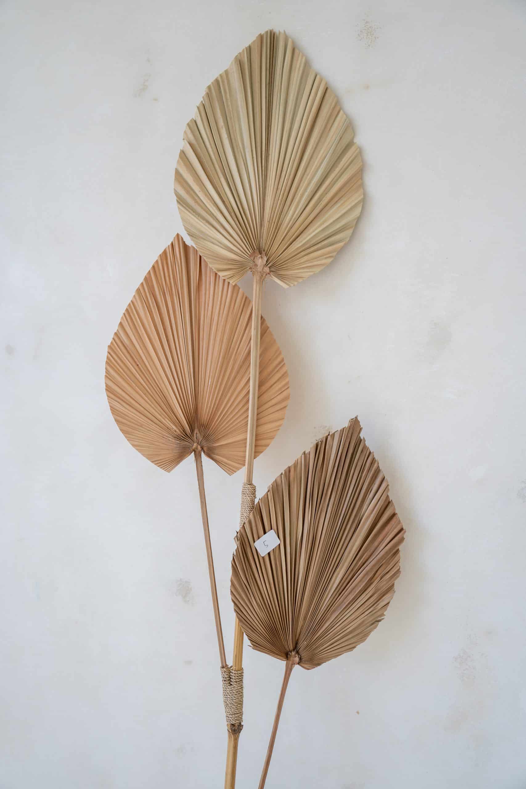 Bamboo stick with three leafs