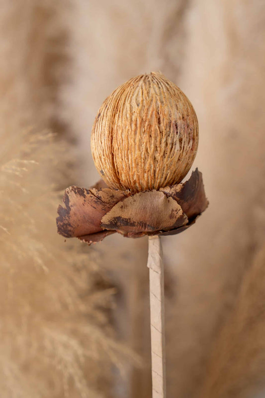 Deco stick Model Bola