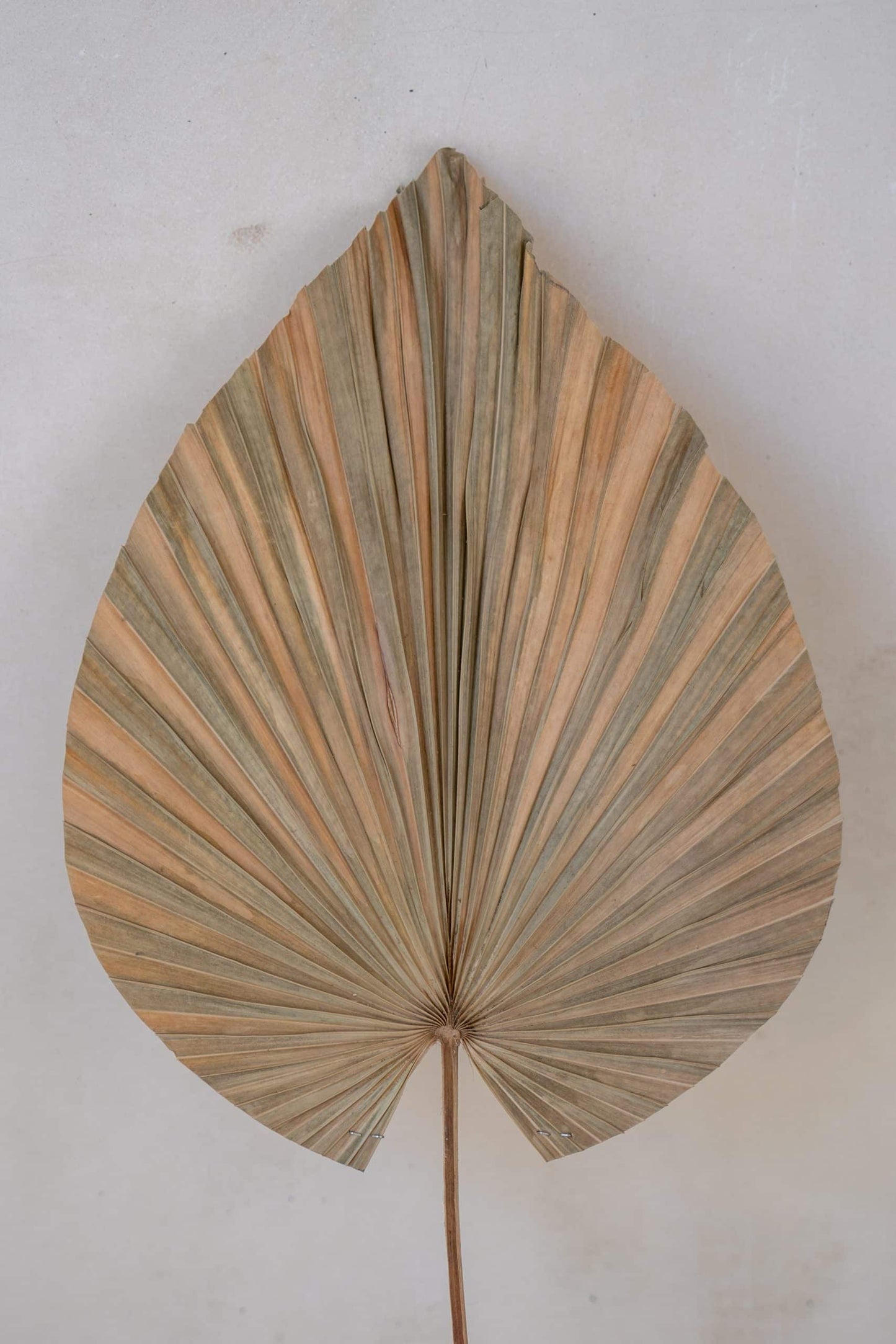 Deco stick Model Daun in three colors