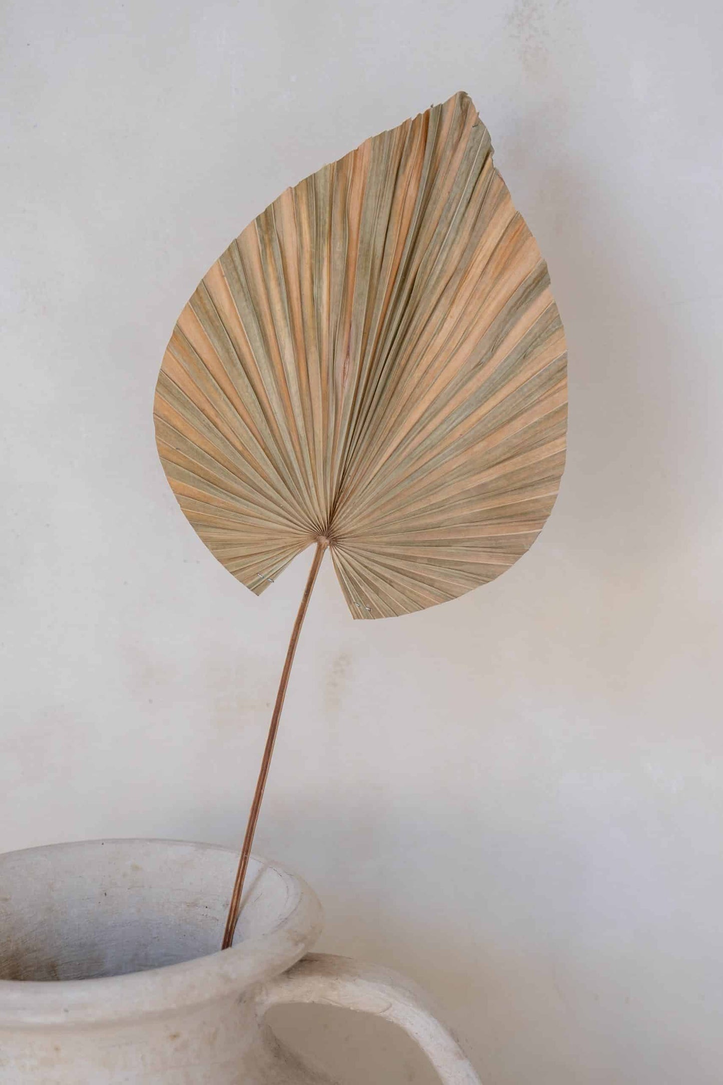 Deco stick Model Daun in three colors