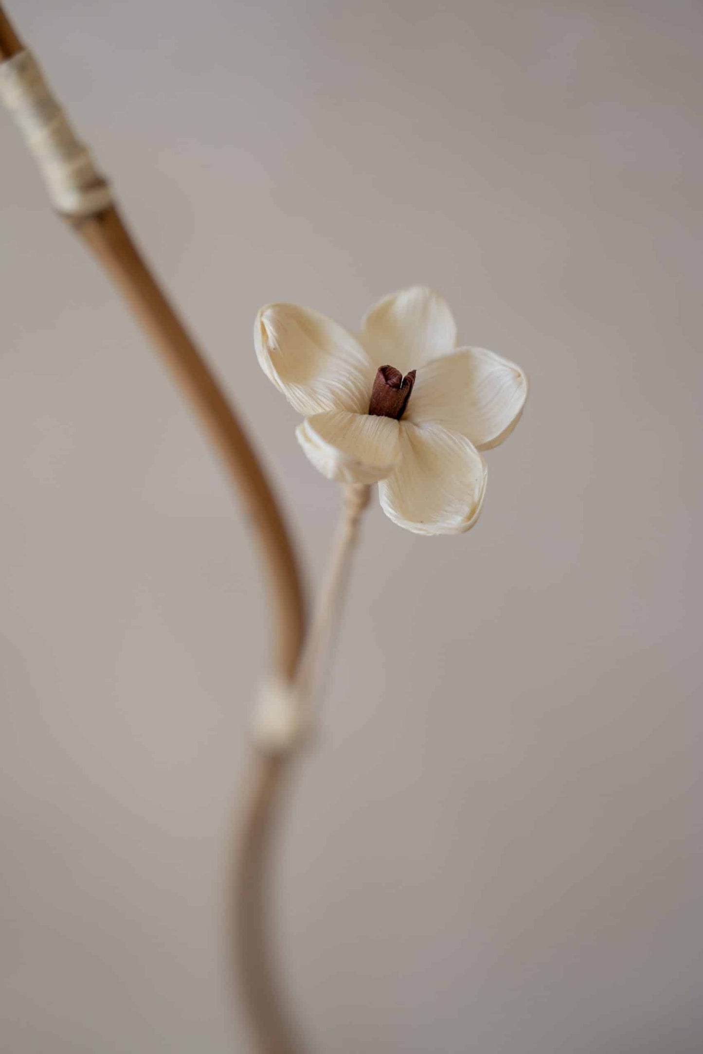 Deco stick model flower tree