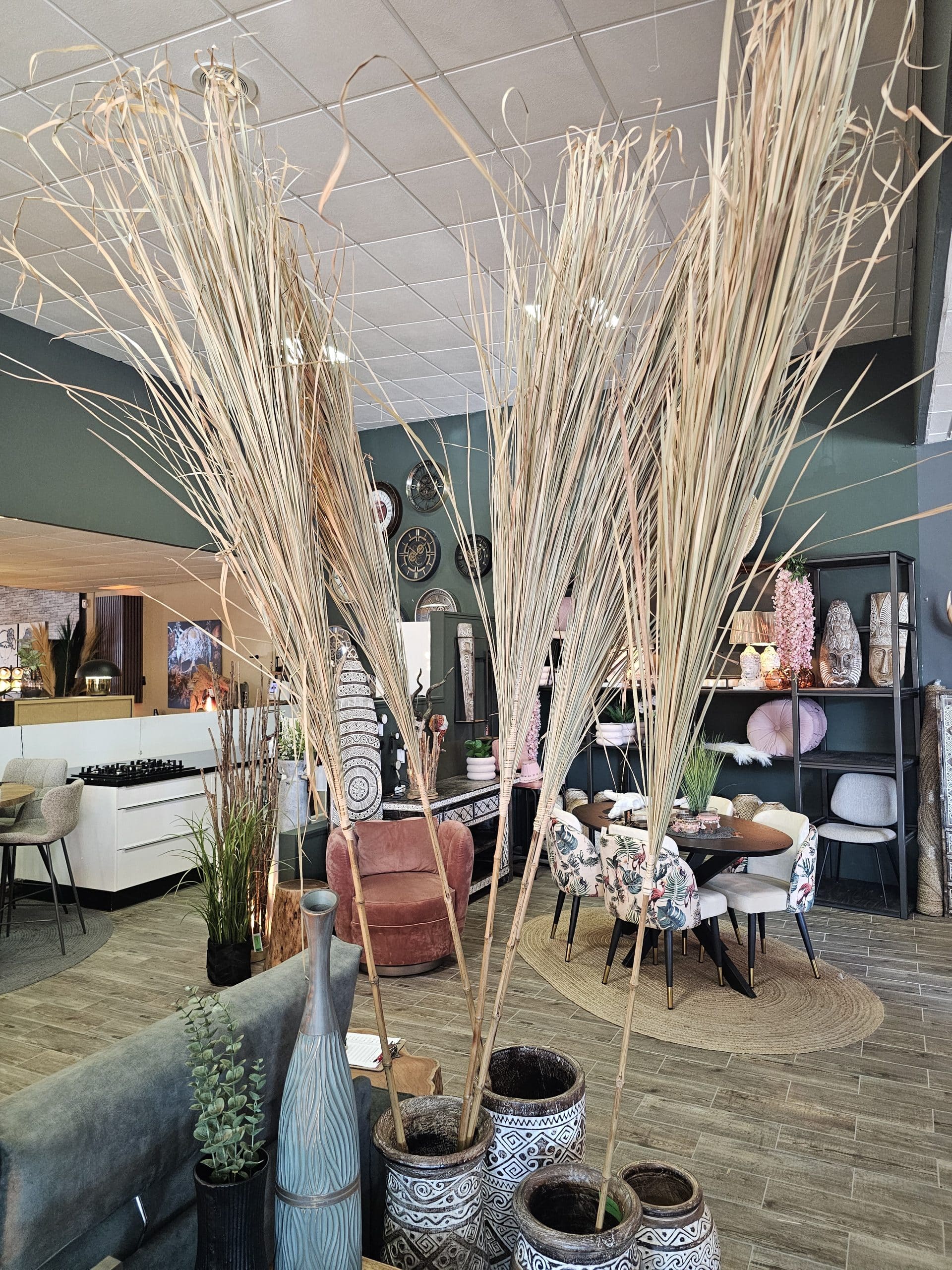 Alang Alang Grass Sticks