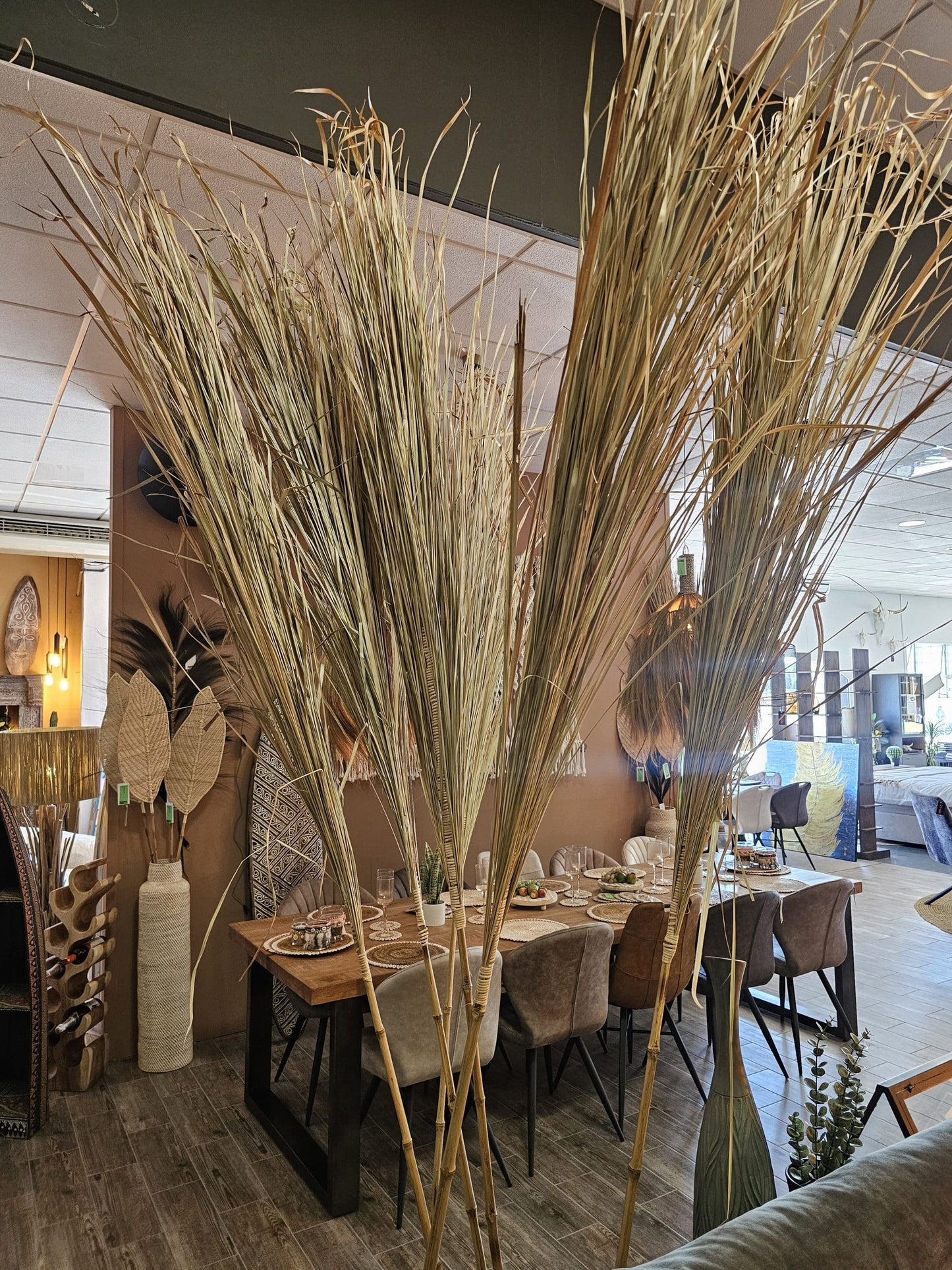 Alang Alang Grass Sticks