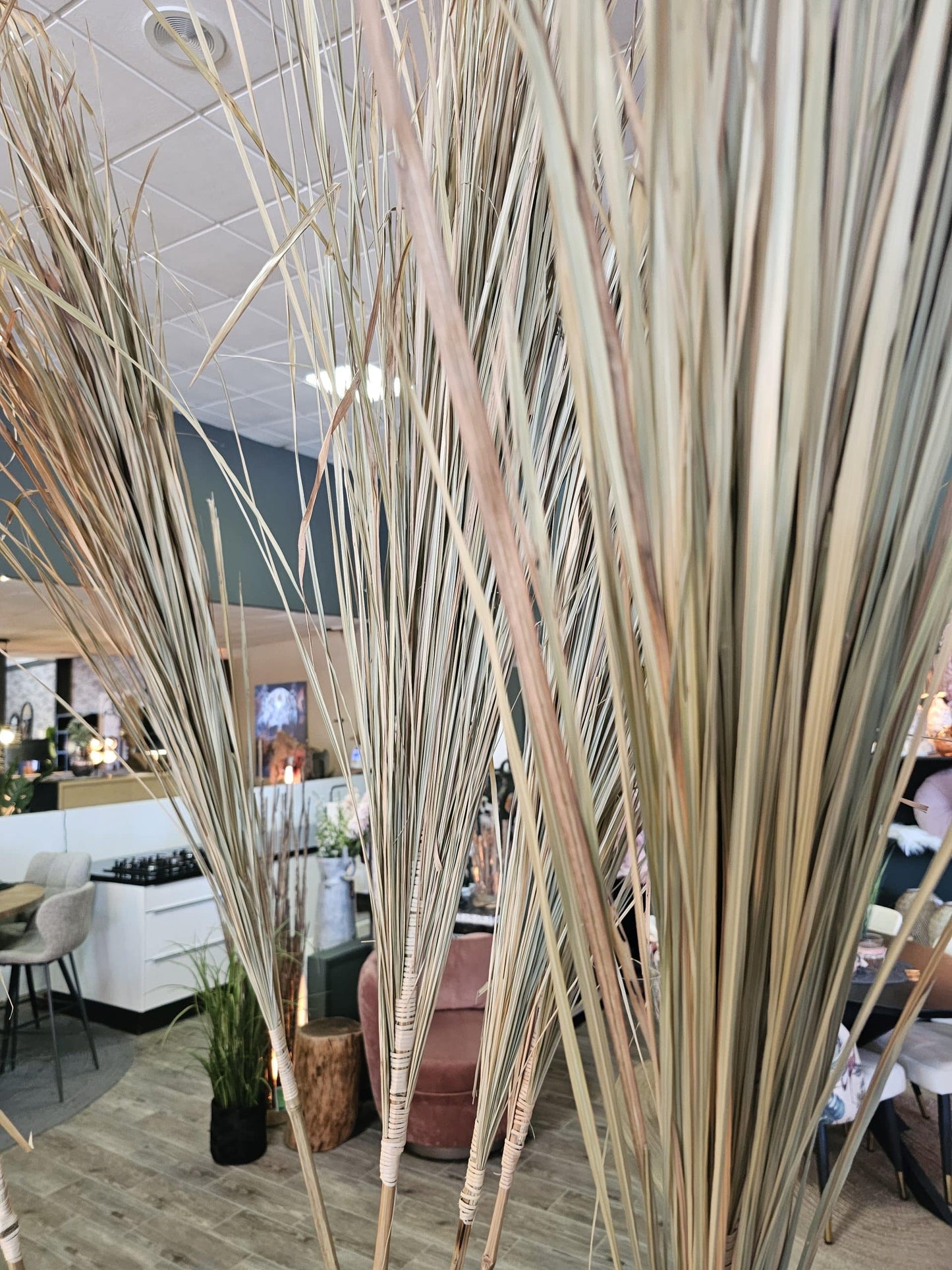 Alang Alang Grass Sticks