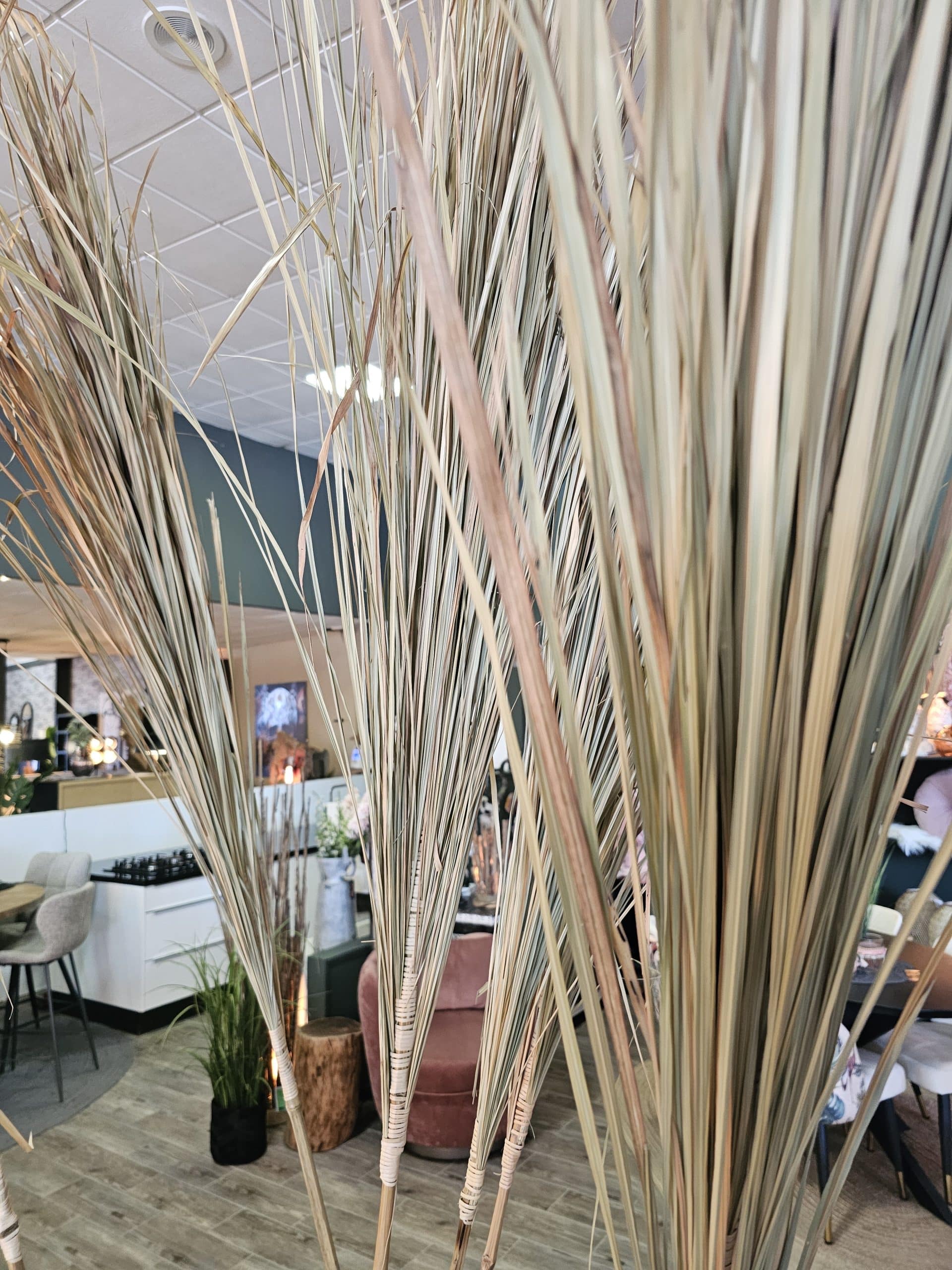 Alang Alang Grass Sticks