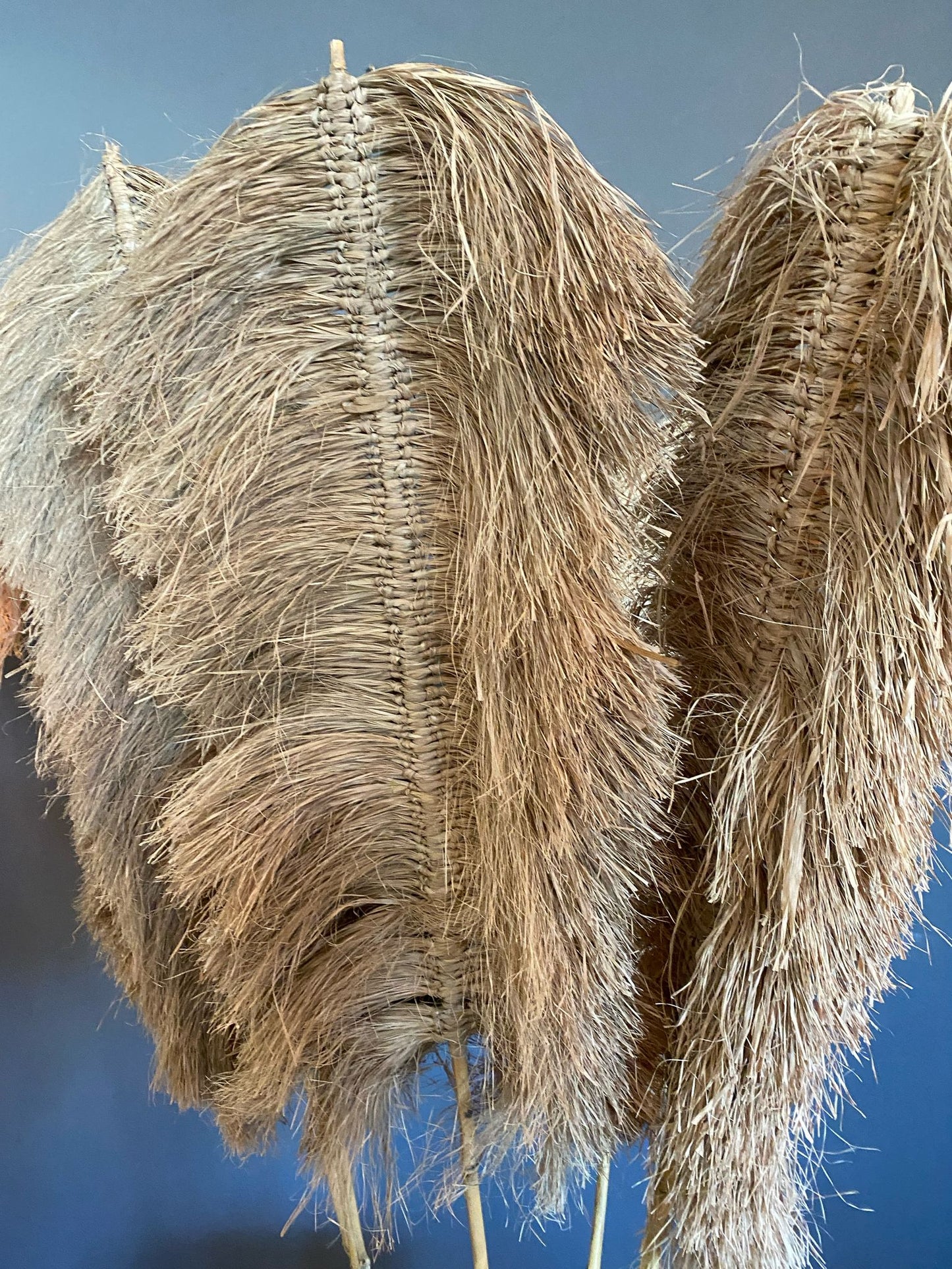 Deco stick Alang grass Model Pujut