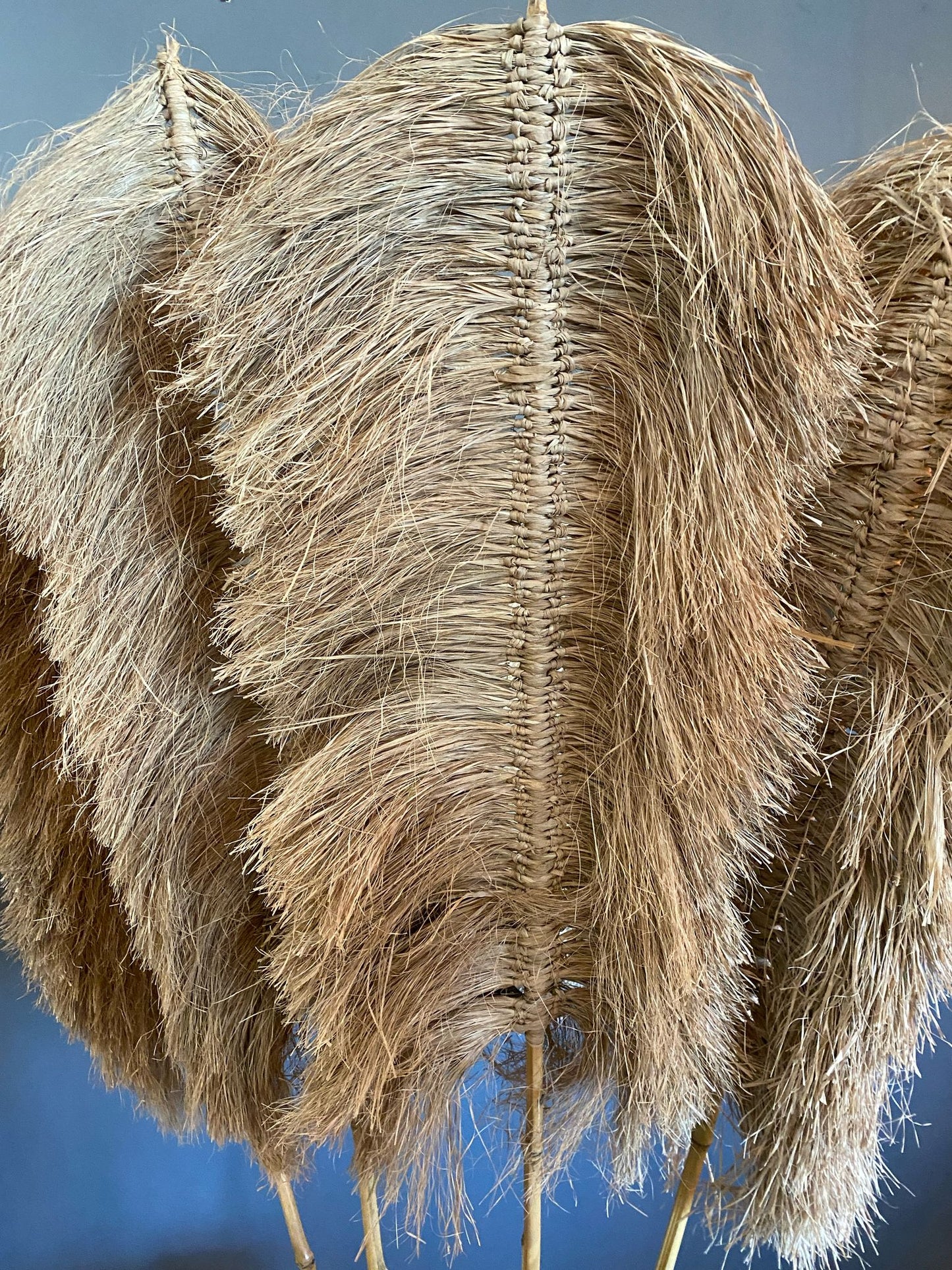 Deco stick Alang grass Model Pujut