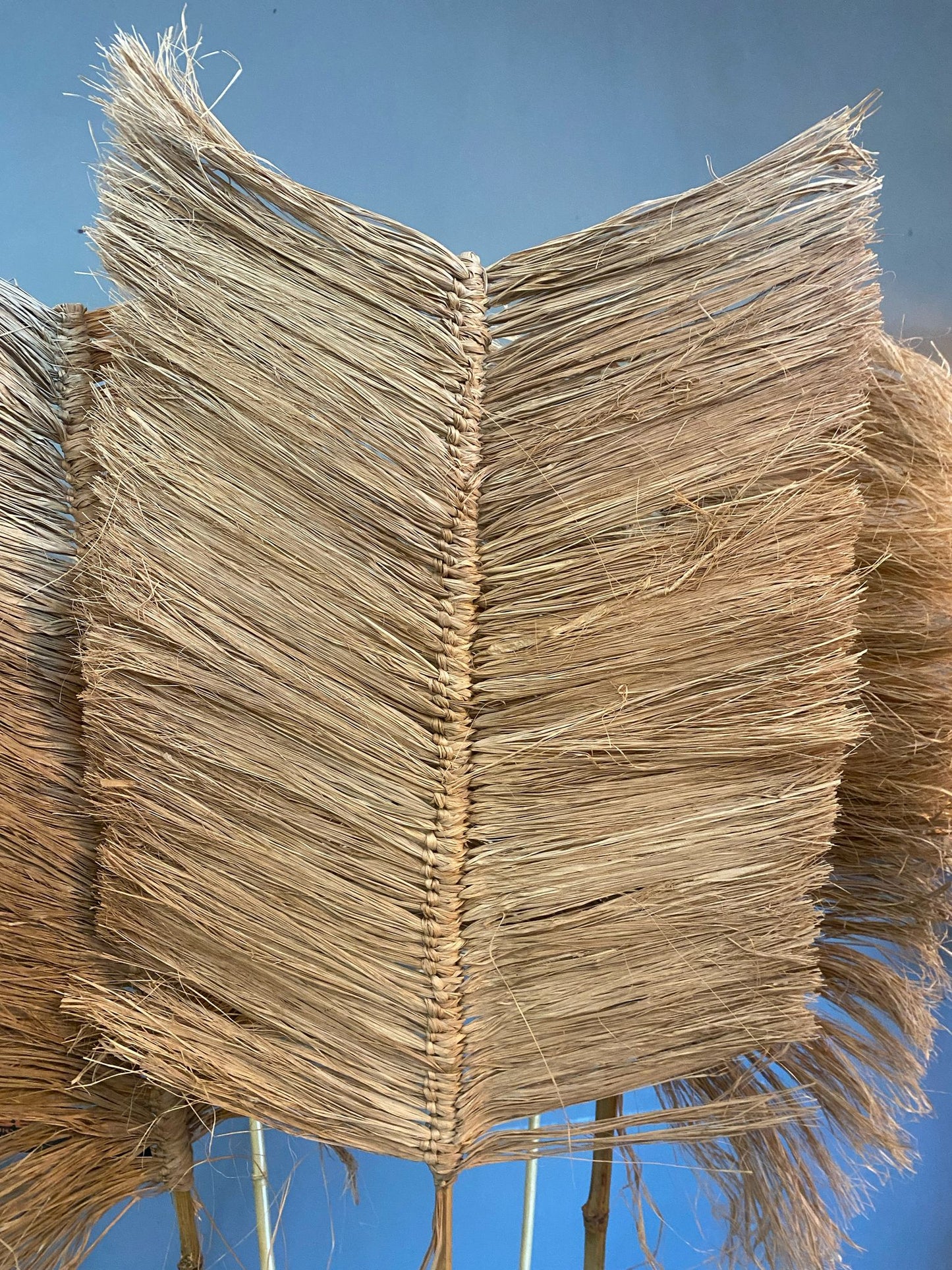 Deco stick Alang grass Model Vemasse