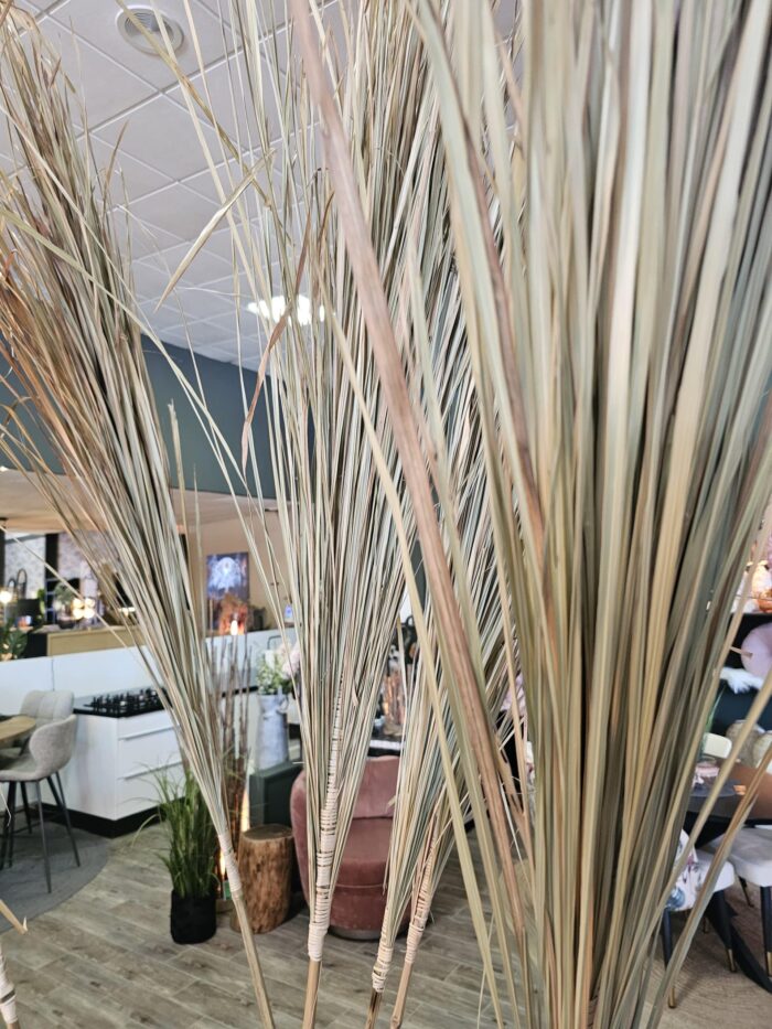Alang Alang Grass Sticks