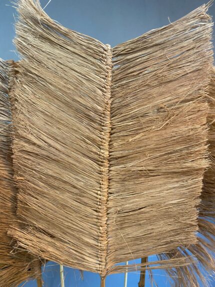 Deco stick Alang grass Model Vemasse